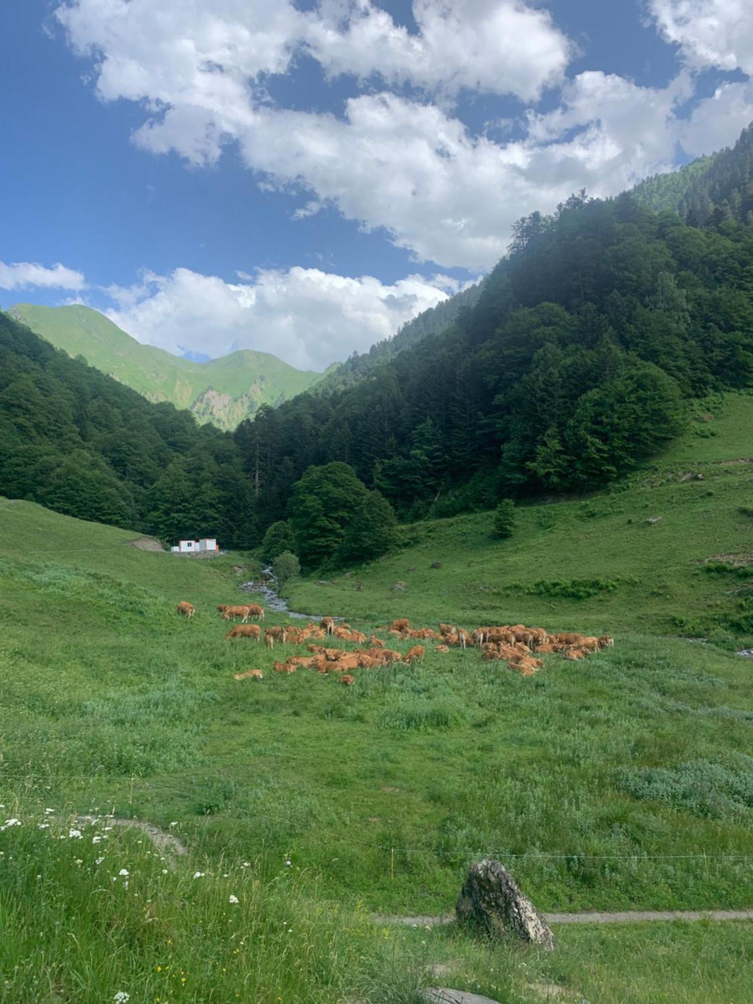 Appartement 2 Personnes Cures Ski Luchon Bagnères-de-Luchon Exteriör bild